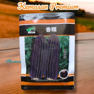 (KEMASAN PREMIUM) BIJI/BENIH JAGUNG HITAM/BLACK CORN (isi -+100 butiran)