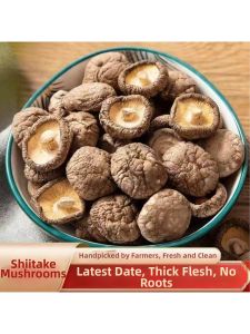 Fleshy and Rootless Fresh Tender Dried Shitake Mushrooms