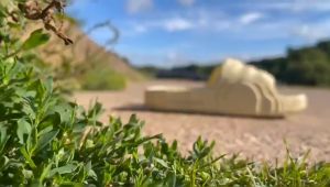 Sandal Pria Wanita Karet Jelly Slip On FEDOR Size 36-44