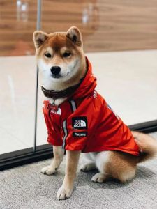 Waterproof Yellow Dog Coat Breathable Two-Legged Hooded Jacket Raincoat for French Bulldog And Other Dogs Pet Clothing Accessories