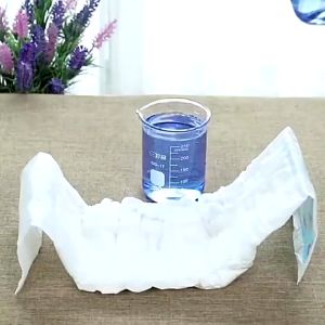 Dog/Cat/Rabbit Pet Disposable Diapers (Male/Female) Dog Cat Pee Pad Cat Urine Pad Dog Diapers Kucing Arnab Animal Haiwa