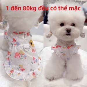Petone dOrage | Spring Summer Thin Pet Dress For Dogs