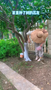 SG Tree Trunk White Paint Anti Insect Sun Protection Coating for Fruit Trees Garden Orchard Sprayable