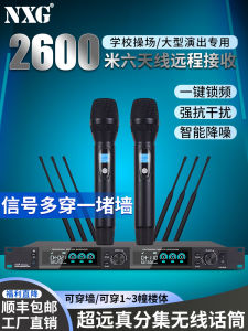 True Diversity Wireless U Microphone One to Two Four Anti Howl Professional Stage Wedding Performance Home Ktv Microphone