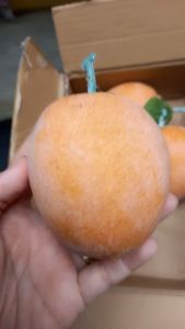 1 Trái lồng mứt giả - trái cây giả - TUYET XUAN SHOP