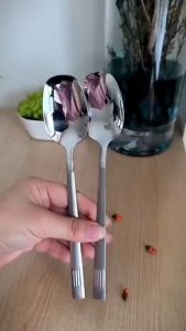 Newyorkbigsale ช้อน ช้อนตักอาหาร สแตนเลส ขายแบบคู่ ทองเงิน No.Y2235