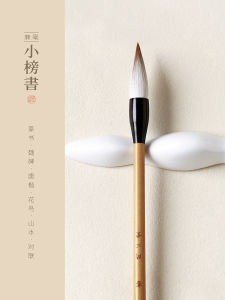 Wenxin Tang Calligraphy Brush Set for Beginners Large Regular Script Yang Body European Body Script Spring Couplets Blessing Words Special Brush