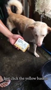 【Buy 1 Take 2】Akiika Herbal Pet Soap 100% Natural Handmade Sterilization Anti-Parasitic Deodorization
