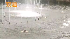 ถูกที่สุด หัวน้ำพุโคเมท ทองเหลืองหนาแท้ ขนาด 1/2  3/4  1นิ้ว1.5นิ้ว หัวน้ำพุทองเหลืองรูปพัดลมหัวสเปรย์สปริงเกอร์ ทองเหลืองหนาแท้ หัวน้ำพุ