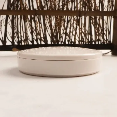Multifunctional Imitation Porcelain round Palette with Lid White Paint Tray for Acrylic And Watercolor Artist Supplies