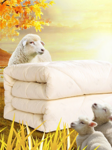 FUANNA (富安娜) | Warm Wool Quilt 100% Pure Australian