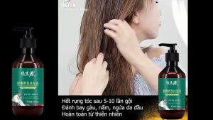 Dầu Gội Dược Hà Thủ Ô Nấm Linh Chi  500ml giảm rụng tóc giảm bạc tóc kích thích mọc tóc Dầu gội thảo dược Hà Thủ Ô