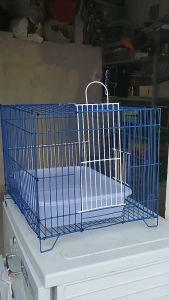 Lồng tắm chim lớn 30x34x40 dành cho chích choè chào mào tặng thau tắm