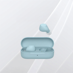 Sony | Comfortable In-ear Wireless Bluetooth Earbuds