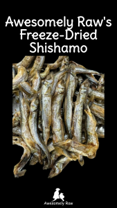 Freeze-dried Shishamo Capelin Pet Snack Pet Cat Treats 宠物零食 小鱼冻干 手工零食 手工宠物零食 天然零食 宠物冻干零食