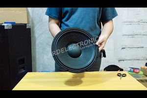 1208 400Watts Instrumental Tosunra Speaker