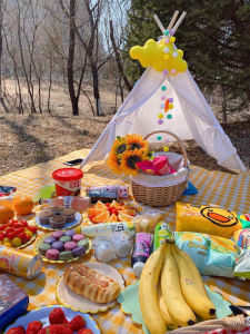 Outdoor Portable Picnic Mat Ins Style Non-Essential Picnic Cloth Supplies Internet Celebrity Moisture-Proof Mat Waterproof Spring Outing Mat