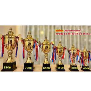 ถ้วยโลหะสีทอง มี 6ขนาด เลือกขนาดได้ พร้อมริบบิ้น (ทำป้ายข้อความฟรีทักมานะครับ) 7722