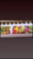 Cetak Spanduk Banner MENU ANDALAIN Costom Desain. 