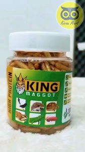 Kicau Mart King Maggot Sempati Larva Bsf Super Dry Maggot Magot Kering Pakan Burung Sugar Glider Kura Kura Gecko Loepard Reptil Landak Mini Ikan Arwana Cemilan Snack Hewan MGTSM