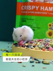Hamster Nutrition Food Diet 500g and Advanced Gain Fruit Seafood Nutrition Diet Unique Edible Treats for Guinea Pigs Hamsters Gerbils and Adult Rabbits