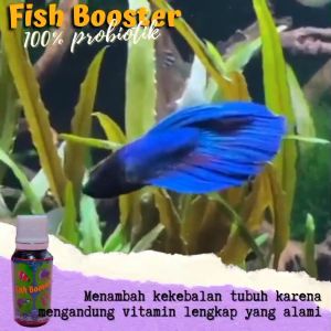 Nutrisi dan Vitamin Ikan Hias FISH BOOSTER botol Spray 60ml