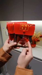 Túi Ví Đỏ Đeo Chéo Đựng Xu Lì Xì Tết Năm Mới Hình Cô Gái Gấu Trúc Panda May Mắn