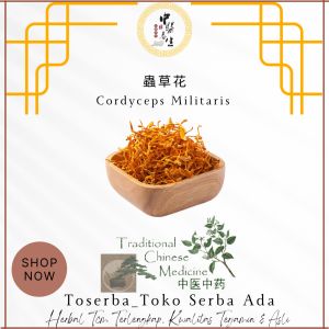 1kg Chong Cao Hua 虫草花 Cordyceps Flower Jamur Bunga Cordyceps