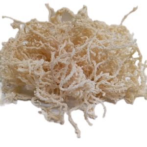 1Kg Rumput Laut Es Campur Bisa Juga Untuk Agar-agar