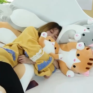 Sweet Hug 50/70/90/110CM Long Cat Plush Toy Pillow Doll Bantal Peluk Kucing Panjang Cute Bantal gifts