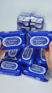 Combo 03 Gói Khăn Ướt Đi Toilet Flushable EcoWipes Gói 20 Tờ Khăn Lau Xả Tan Trong Bồn Cầu Nhanh Chóng