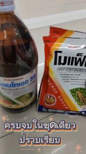 ฆ่าหนอนแมลงวันทอง หนอนชอนใบ ด้วง เพลี้ยไฟ เพลี้ยอ่อน แมลงหวี่ขาว สูตรเย็น ฉีดผ่าดอกได้ 1 ชุด ผสมน้ำได้ 400 ลิตร