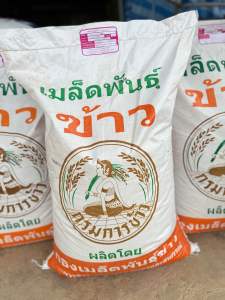 กข6 พันธุ์ข้าวปลูก  RD6 พันธุ์ข้าวเหนียวหอม ทนแล้ง ข้าวไวต่อแสง ต้านทานโรค กรมการข้าว ชั้นพันธุ์ขยาย บรรจุ 25 ก.ก.