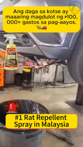 Rat repellent spray CG 10-Year Mouse-Free Protection Advanced Formula Harmless To Humans & Pets Car & Home Use