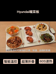 【HYUNDAI】foldable warm dish board food insulation board hot dish plate table meal warming mat thaw/dry/warm milk/teafoldable dishes warming plate insulation board dishes warming