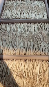 Genuine Dried Ginseng Changbai Mountain White Ginseng for Soup Soaking Tea