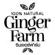 ขิงดำ จินเจอร์ฟาร์ม เป็นทางการ