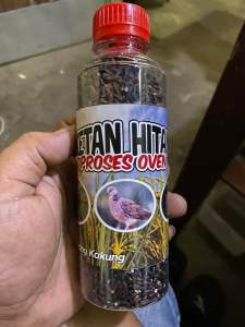 Pakan Burung DERKUKU Puter Perkutut