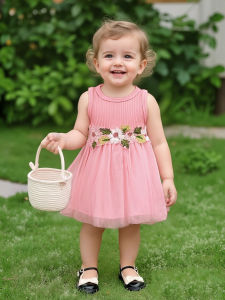 Children Eden 0-3yrs old infant baby floral tulle dresses newborn baby flower sleeveless dresses for toddler girls all match bab