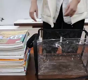 Large Capacity Book Storage Bag Transparent PVC Zipper Tote Bag Foldable For Textbooks Toys