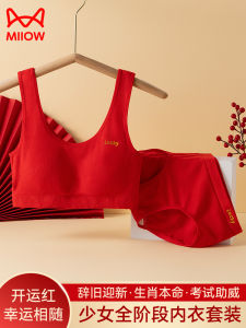 Red Underwear for Girls Primary And Middle School Age Developmental Stage Cartoon Print Nylon Fabric Catman Brand Innerwear