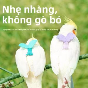 Dây Đeo Chim FLYING PEACOCK PARROT CHIRP Dây Kéo Di Động Cho Chim Đi Bộ Ngoài Trời Phụ Kiện Chơi Cho Chim
