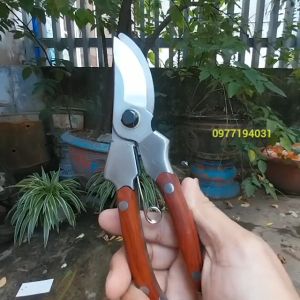 Kéo cắt cành cộng lực Japan cao cấp bằng thép trắng đúc tay cầm bọc gỗ