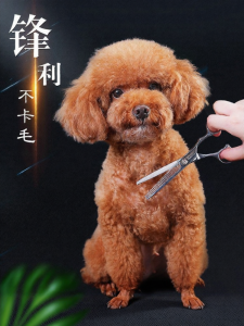 HOOPET | Pet Grooming Curved Scissors Hair Cutting Tools