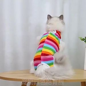 Cat Recovery Suit for Post Surgery Protection Anti-Licking Wound Sterilization Suit After Surgery
