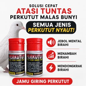 PIL GIRING PERKUTUT 50 butir UNTUK MENAIKKAN BIRAH BURUNG Formula Ampuh Terbaik Produk Herbal Brand