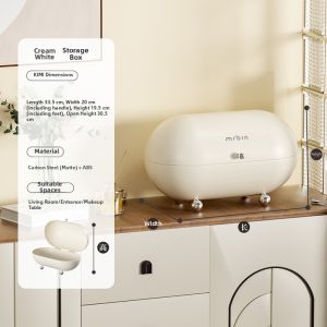 MR.Bin | Aesthetic Home Desk Hallway Organizer For Masks Snacks And Miscellaneous Items