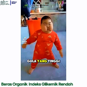 EkaFarm Beras Diabetes Organik 1 Kg | Beras Organik Sugar Free