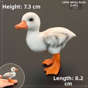 MENGSILE | Educational Gift Display Yellow Duck Model