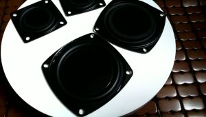 Passive Radiator Speaker DIY 2 inch 3 inch 4 inch Pasif Rakitan SubWoofer Low Bass BOOM BOX